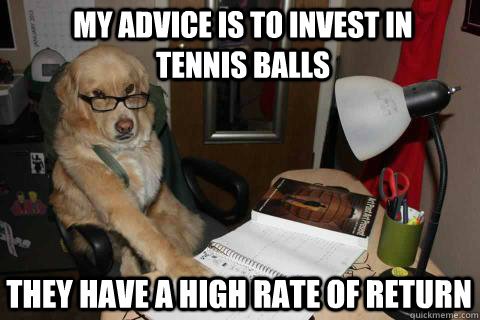 Dog money meme